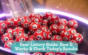 deer lottery