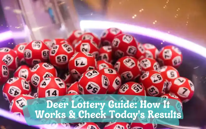 deer lottery